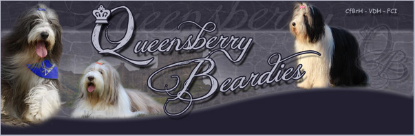 Banner Queensberry Beardies