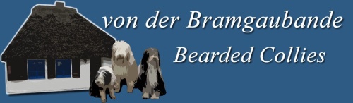 Banner Bearded Collies von der Bramgaubande