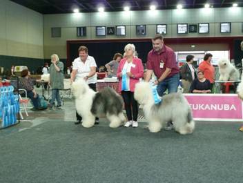 Versand_CfBrH_Ausstellung Bremen 2017_029.jpg