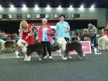 Versand_CfBrH_Ausstellung Bremen 2017_031.jpg