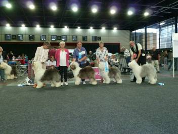 Versand_CfBrH_Ausstellung Bremen 2017_040.jpg