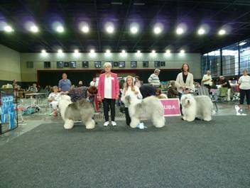 Versand_CfBrH_Ausstellung Bremen 2017_042.jpg