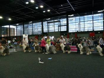 Versand_CfBrH_Ausstellung Bremen 2017_050.jpg