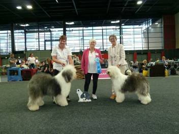 Versand_CfBrH_Ausstellung Bremen 2017_054.jpg