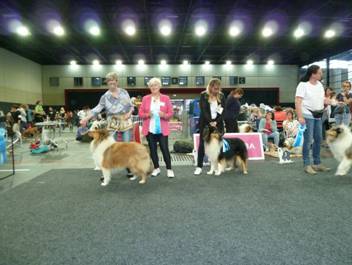 Versand_CfBrH_Ausstellung Bremen 2017_055.jpg