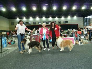 Versand_CfBrH_Ausstellung Bremen 2017_057.jpg