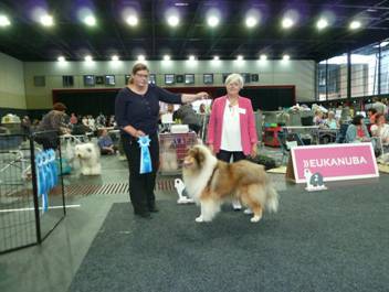 Versand_CfBrH_Ausstellung Bremen 2017_060.jpg