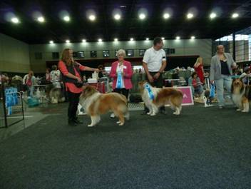 Versand_CfBrH_Ausstellung Bremen 2017_062.jpg