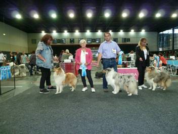 Versand_CfBrH_Ausstellung Bremen 2017_063.jpg