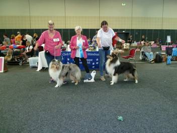 Versand_CfBrH_Ausstellung Bremen 2017_072.jpg