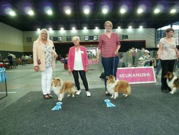 Versand_CfBrH_Ausstellung Bremen 2017_077.jpg