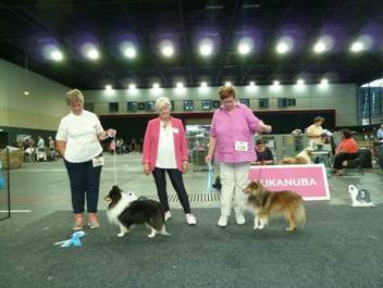 Versand_CfBrH_Ausstellung Bremen 2017_078.jpg