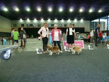 Versand_CfBrH_Ausstellung Bremen 2017_089.jpg