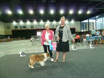 Versand_CfBrH_Ausstellung Bremen 2017_089.jpg