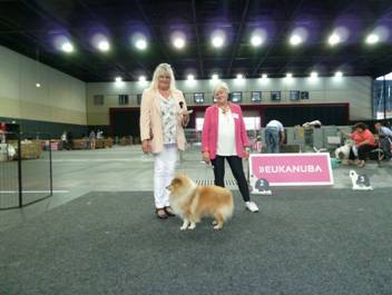 Versand_CfBrH_Ausstellung Bremen 2017_098.jpg