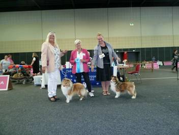 Versand_CfBrH_Ausstellung Bremen 2017_100.jpg