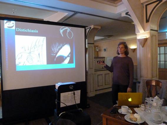 Vortrag Dr. Ulrike Koch_02.jpg