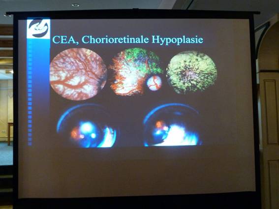 Vortrag Dr. Ulrike Koch_15.jpg