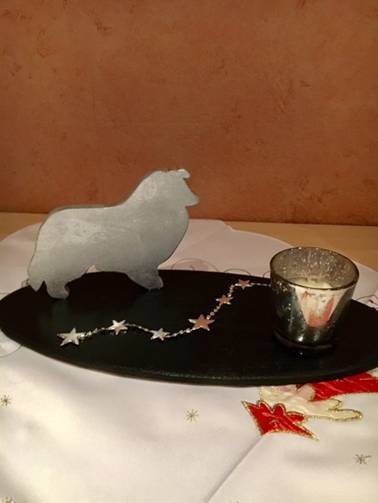 Feier - Collie - Preis.jpg