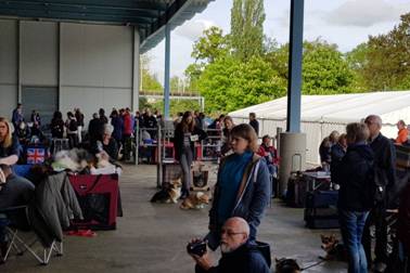 Lingen_2018__06.jpg