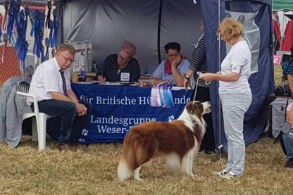 Hude_2019__47.jpg