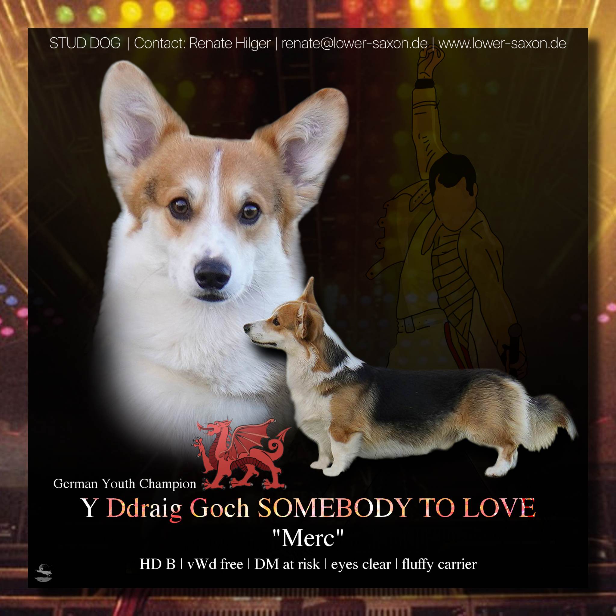 Y Ddraig Goch Somebody To Love 'Merc'