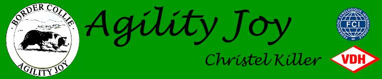 Banner Agility Joy
