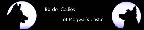 Banner Border Collies of Mogwai's Castle
