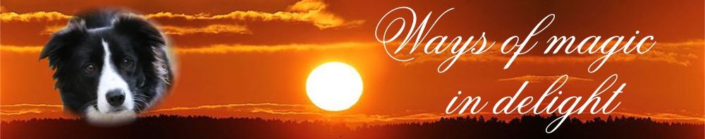 Banner Ways of magic in delight