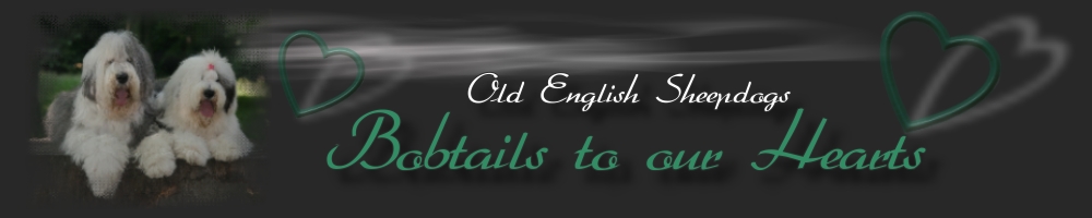 Banner OES to our Hearts