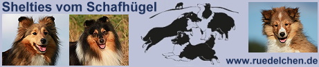 Banner Shelties vom Schafhügel